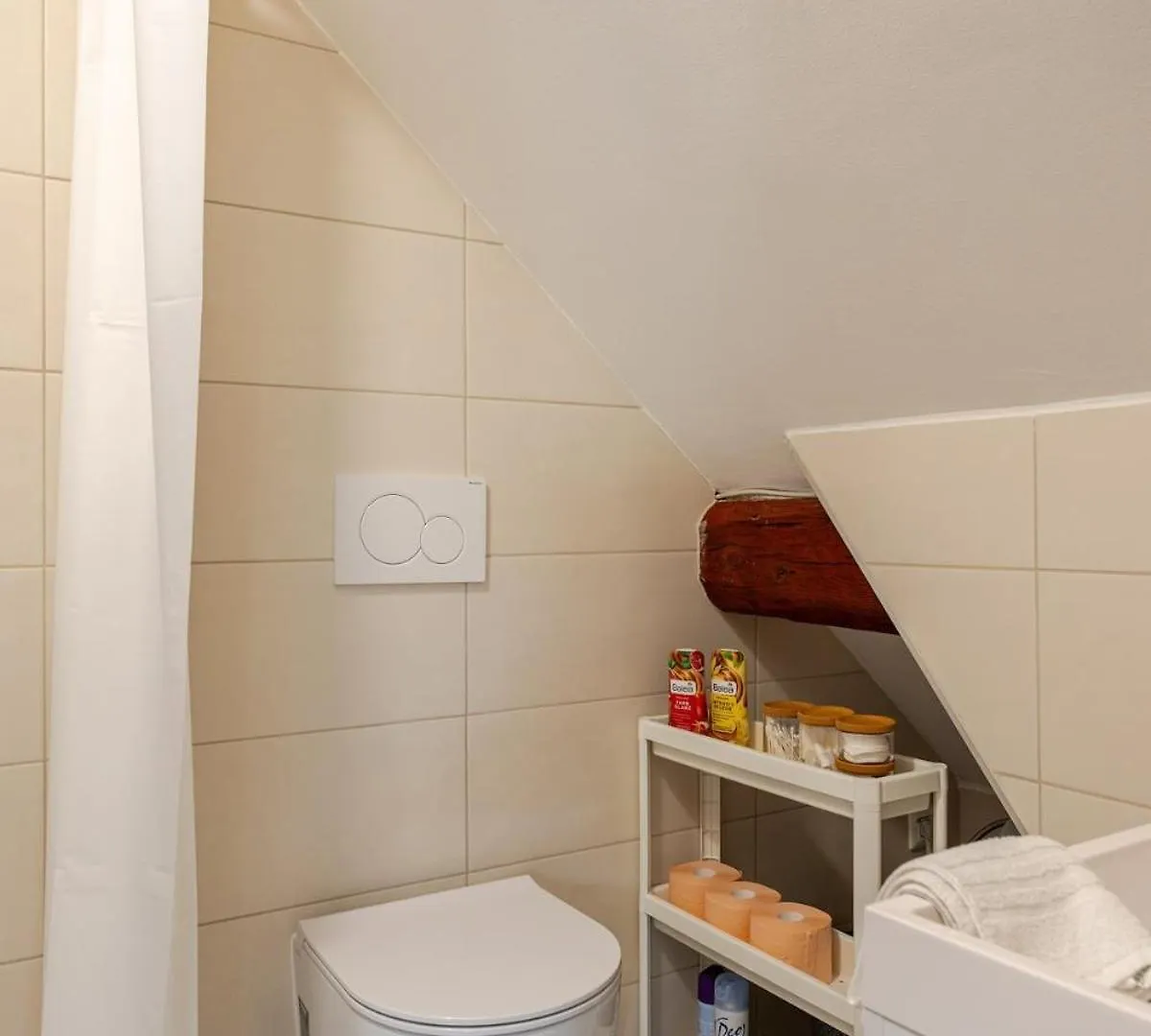 Stylish Loft In The Hearth Of Historic Centre Apartment Ljubljana