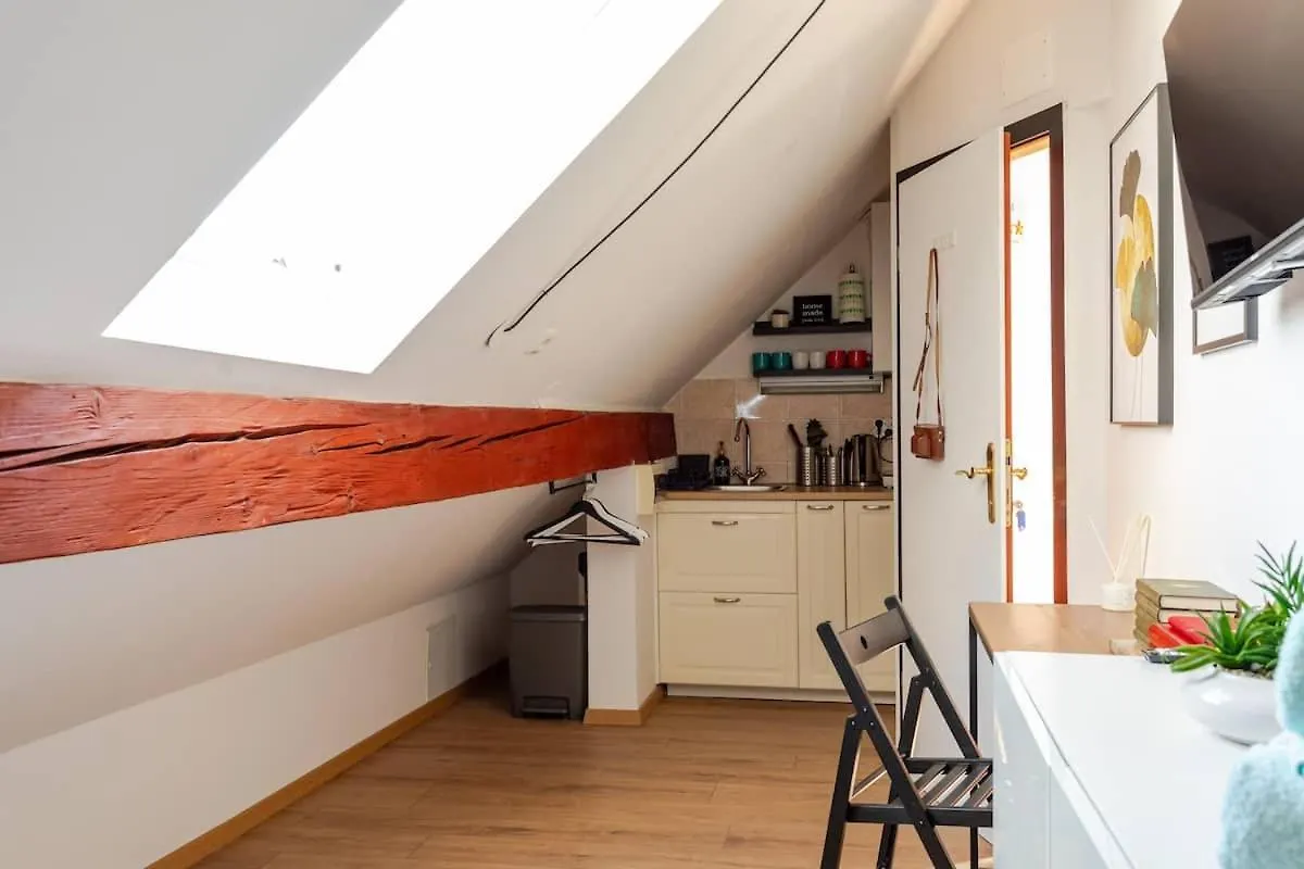 Stylish Loft In The Hearth Of Historic Centre Apartment Ljubljana