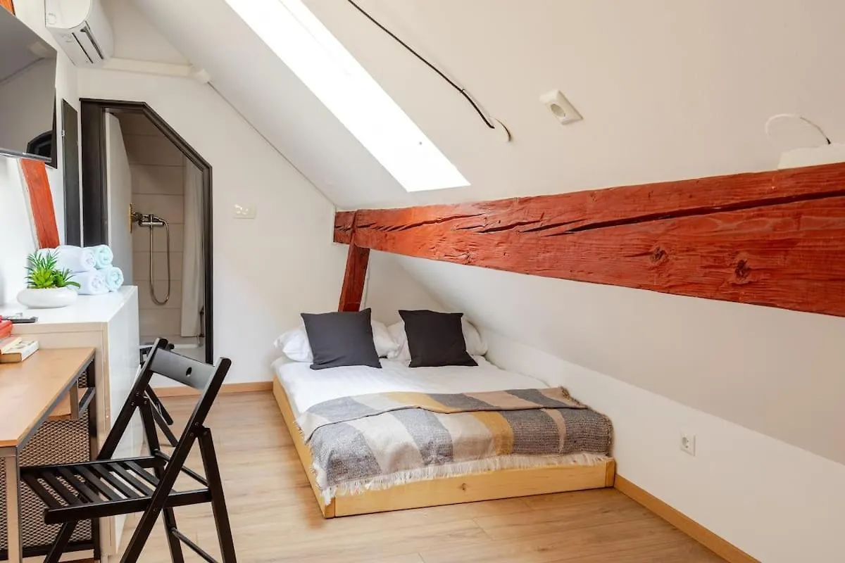 Stylish Loft In The Hearth Of Historic Centre Apartment Ljubljana